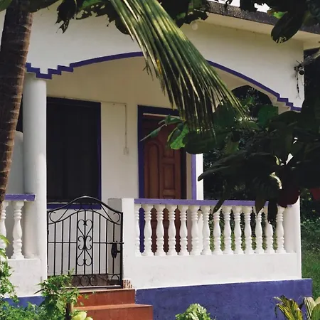 Coco Inn Goa-2